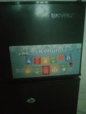 Skyrun Inverter Fridge and Freezer
