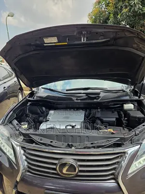Lexus RX 2012 Gray