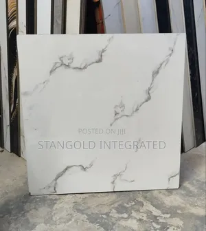 Super Polished 60x60 Tiles