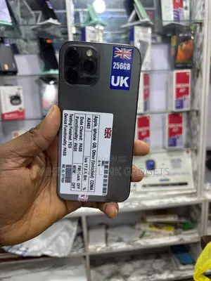 Apple iPhone 12 Pro Max 256 GB Black