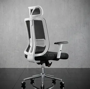 High Back Ergonomic Mesh Office Chair