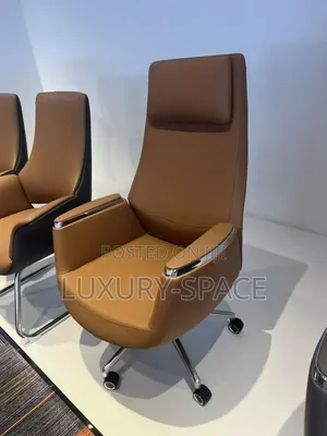 Executive Ergonomic Director Office Chair