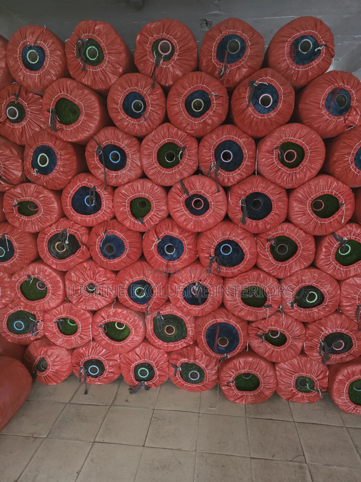 Carpet Grass