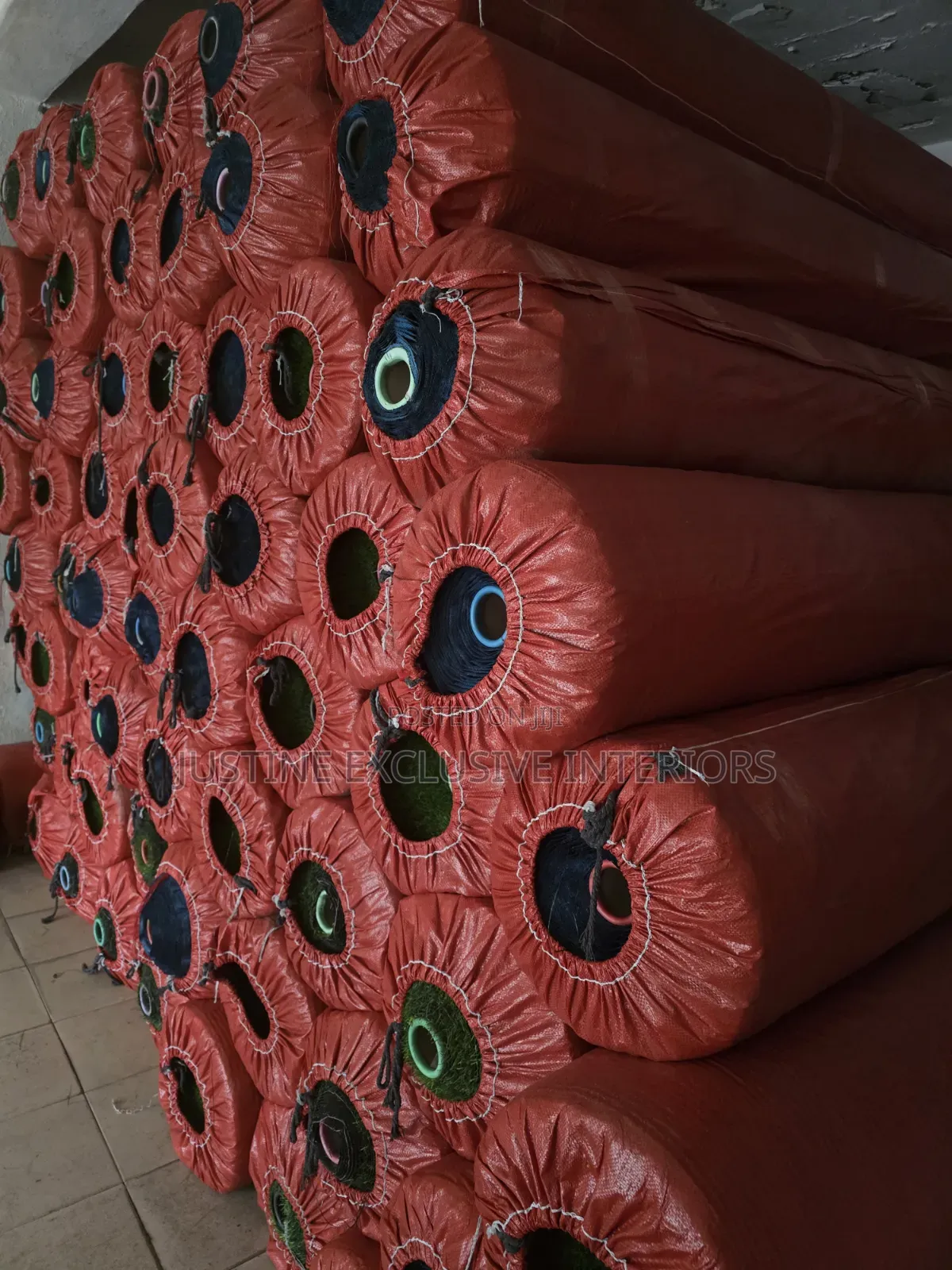 Carpet Grass