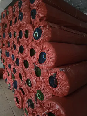 Carpet Grass