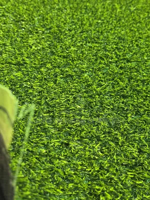 Grass Artificial Carpet