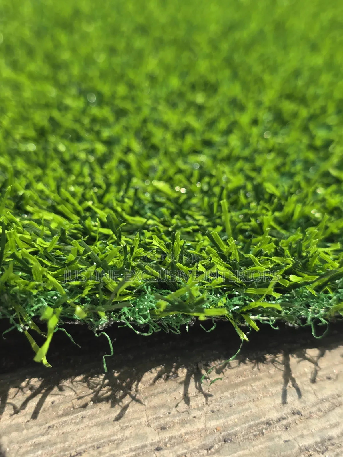Grass Artificial Carpet