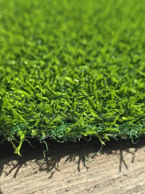 Grass Artificial Carpet