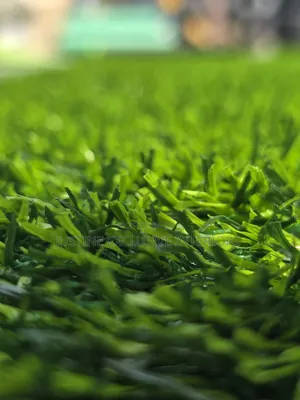Grass Artificial Carpet