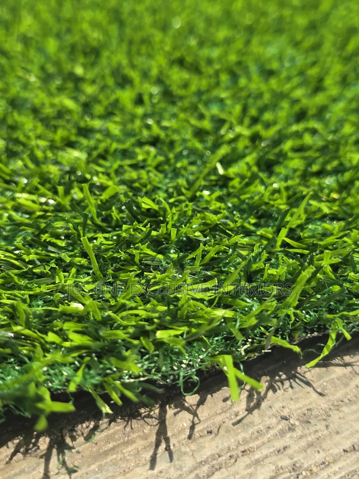 Grass Artificial Carpet
