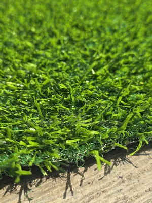 Grass Artificial Carpet