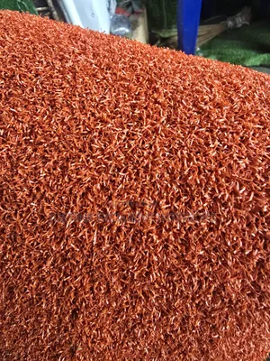 Gulf Grass (0range Color)