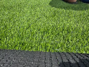 Astro Turf Grass