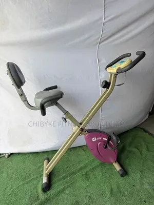 Foldable Xbike With Arm and Back Rest ( Pink Foldable Bike )