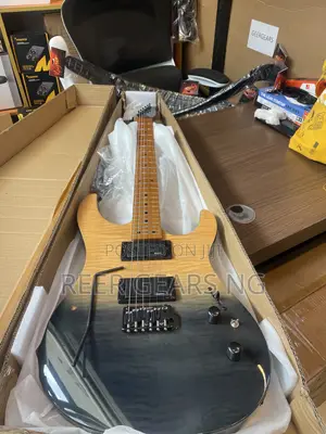 Kaysen BLG Stratocaster HH Electric Guitar