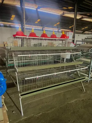 A-Type 3-Tier Layer Battery Cage | Poultry Cage for Sale