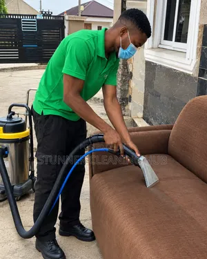 Professional Upholstery Cleaning Services