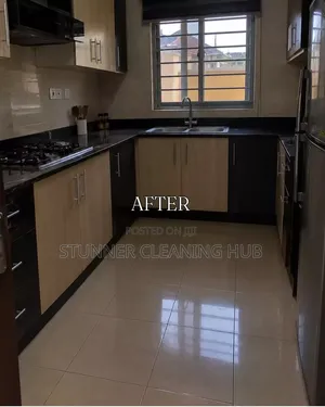 Professional Kitchen Deep Cleaning Services
