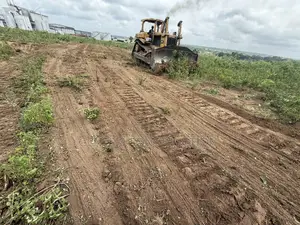 Bulldozer D8 for Hiring .