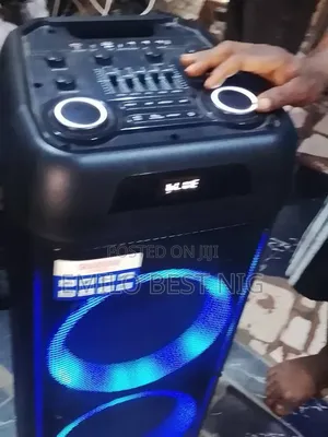 Alipu Powered Public Address System With 2 Mic