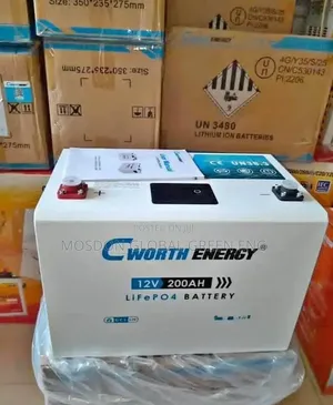 C Worth Lithium Battery 200ah 2.5kwh Battery 12v