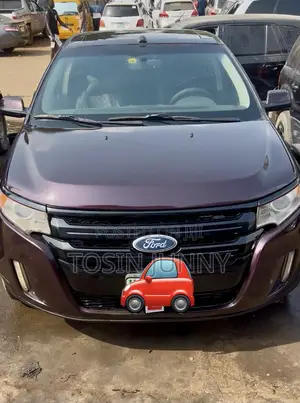 Ford Edge 2011 Purple