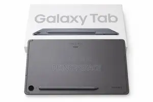 Samsung Galaxy Tab S9 FE 256 GB Gray