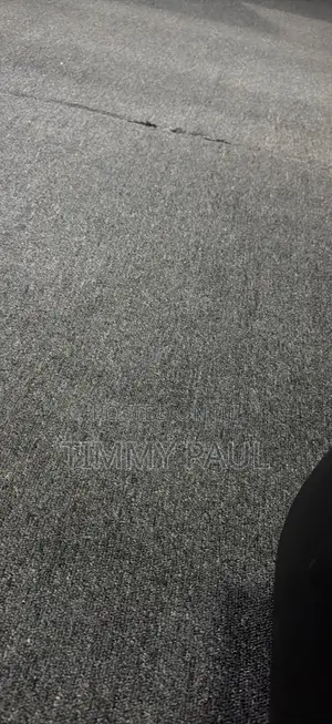 Rug (35 Square Meters)