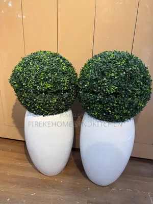 Big CLASSIC Potted Ball Plant
