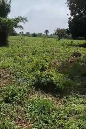 30 Plot of 100 by 100 for Sale at Uduminei QTR Issele Uku