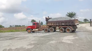 Iron Chippings Affordable Supply