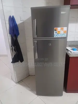 252 Litres Neatly Used Skyrun Double Door Fridge