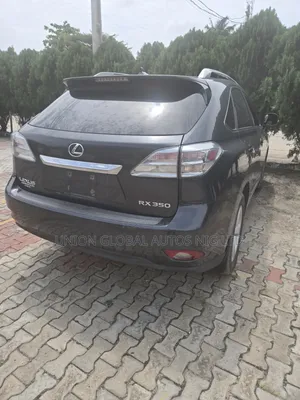 Lexus RX 2010 Gray