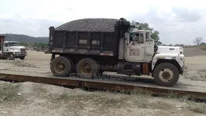 High Quality Iron Chippings Supply