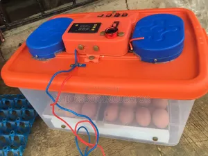 Eggs Incubator