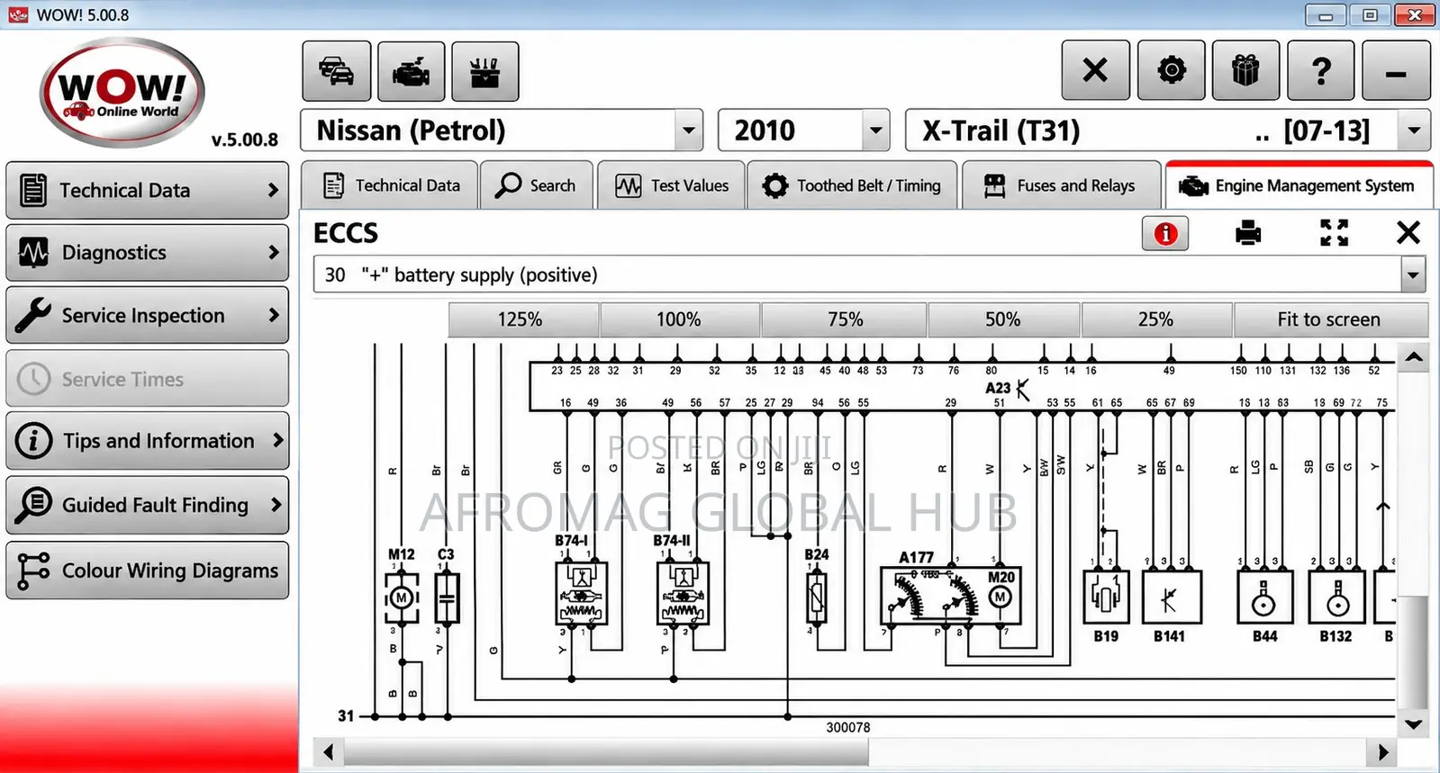Auto Diagnostics Software