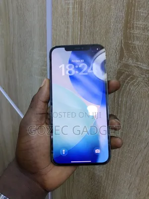Apple iPhone 12 Pro Max 256 GB