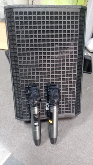 Powerful All in 1 Portable Rechargeable Pa System