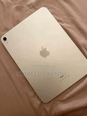 New Apple iPad Wi-Fi 64 GB Gray