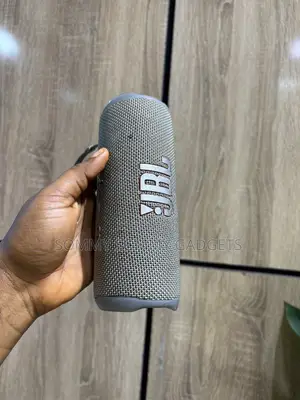 JBL Flip 6