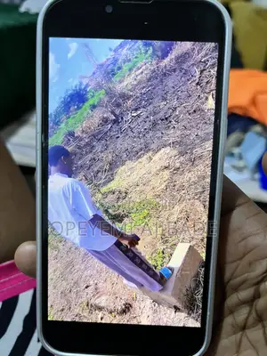A Plot of Land