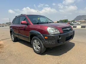 Hyundai Tucson 2005 Brown