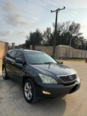 Lexus RX 350 2007 Gray