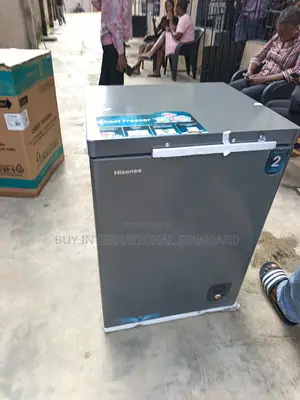 Efficient Food Storage Choice – Hisense FC-130SH 141L