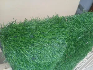 Carpet Grass