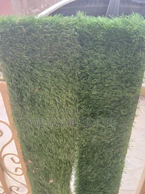 Carpet Grass