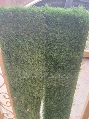 Carpet Grass