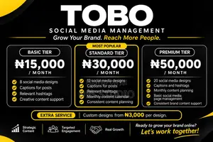 Professional Social Media Management for Businesses