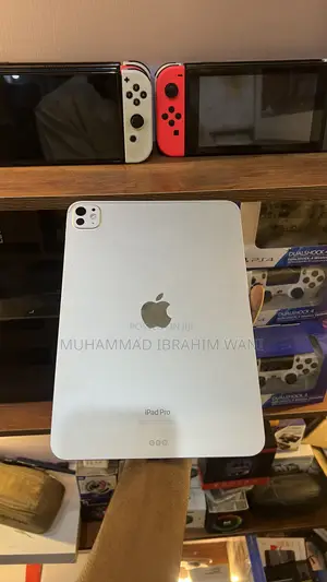 Apple iPad Pro 11 (2024) 1 TB Gray