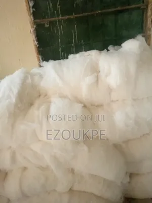 Cotton Wool